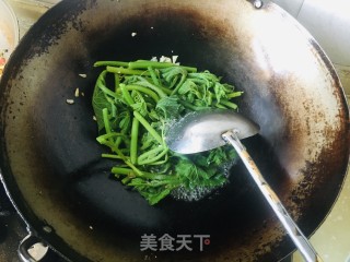 清炒南瓜尖步骤7
