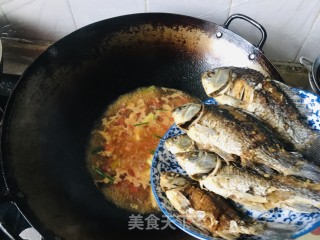 番茄炖鲫鱼步骤5