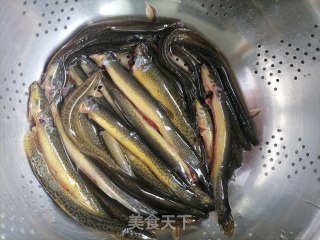 红烧泥鳅步骤1
