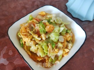 西红柿圆白菜炒鸡蛋步骤13