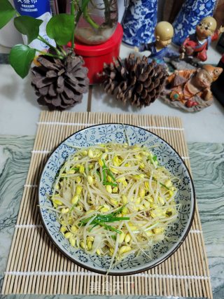 鸡汤黄豆芽步骤10