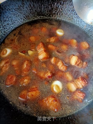 红焖肉步骤10