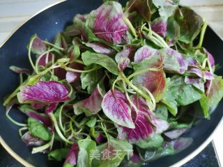 蒜蓉红苋菜步骤1