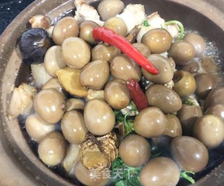 鹌鹑蛋烧五花肉步骤3