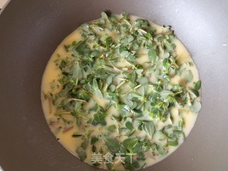 马齿苋水烘蛋步骤6