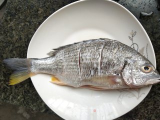 干煎海鲫鱼步骤1