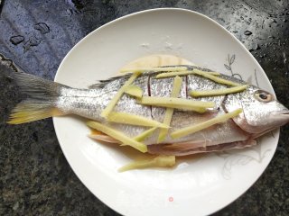 干煎海鲫鱼步骤2
