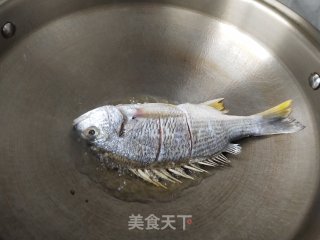 干煎海鲫鱼步骤4
