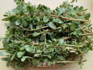 葱油炒马齿苋步骤7