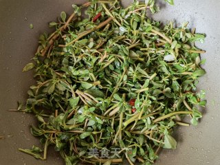 葱油炒马齿苋步骤12