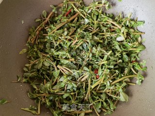 葱油炒马齿苋步骤13