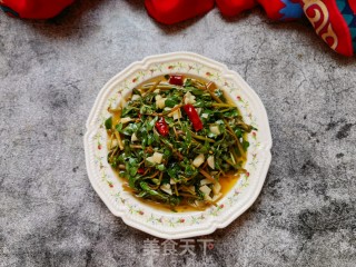 葱油炒马齿苋步骤15