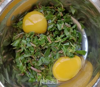 马齿苋水炒蛋步骤3