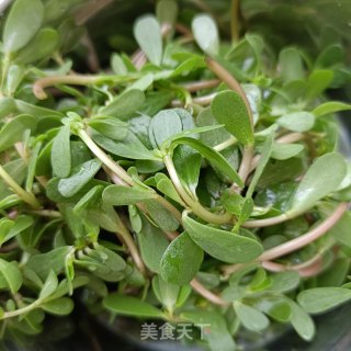 马齿苋水炒蛋步骤1