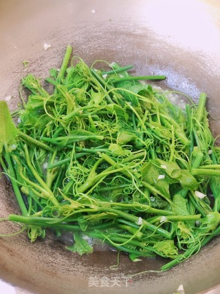 蒜蓉佛手瓜苗步骤3