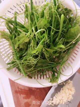 蒜蓉佛手瓜苗步骤2