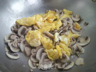 鸡蛋炒口蘑步骤6