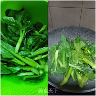 蒜蓉炒菜心步骤4