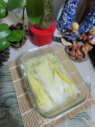 白灼娃娃菜步骤8