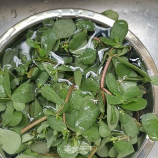蒸马齿苋步骤1
