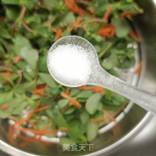 蒸马齿苋步骤6