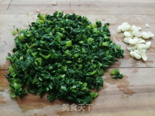 蒜香苦麻菜步骤2