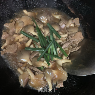平菇炒肉片步骤11