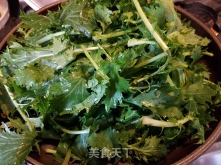 蒜蓉炒京水菜步骤4