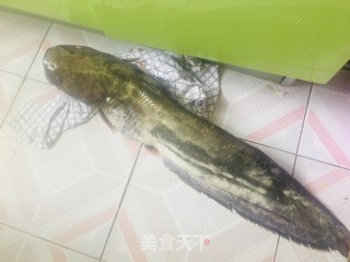 野生鲶鱼炖茄子步骤1
