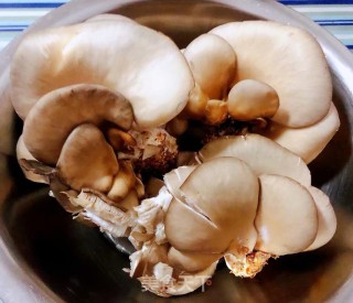 黄瓜胡萝卜炒平菇步骤1
