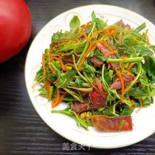 麻辣肠炒香椿步骤15
