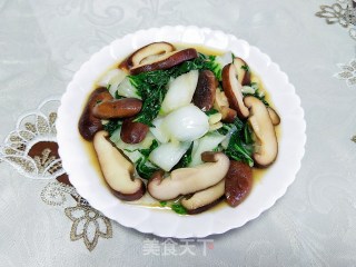 奶白菜炒蘑菇步骤9