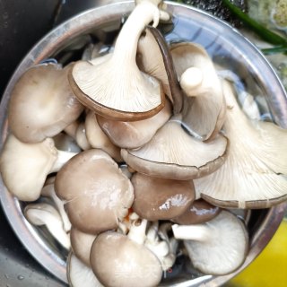 腊肉炒平菇步骤1