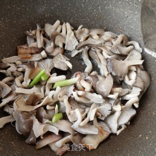腊肉炒平菇步骤9