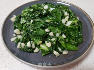 蒜蓉莙荙菜步骤4