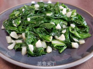 蒜蓉莙荙菜步骤5