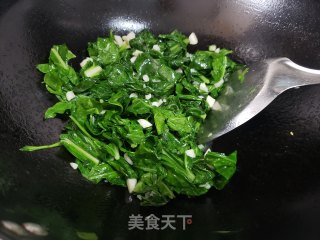 蒜蓉莙荙菜步骤3
