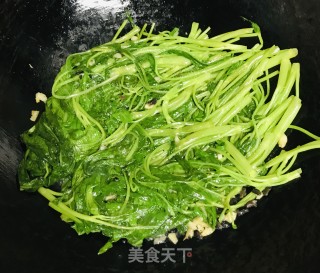 豆豉炒空心菜步骤7