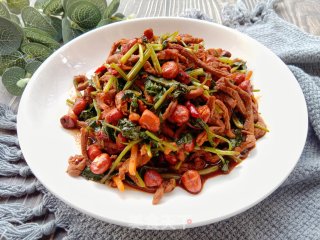 姜丝香菜炒肉丝步骤9