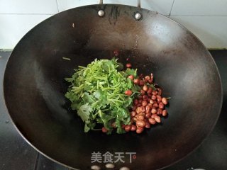 姜丝香菜炒肉丝步骤7