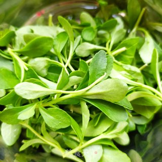 “清淡美食”木耳炒养心菜步骤1
