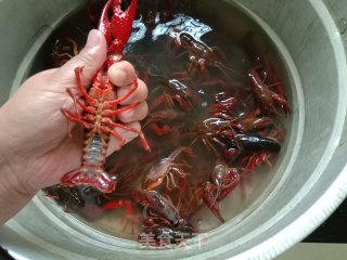啤酒小龙虾步骤3