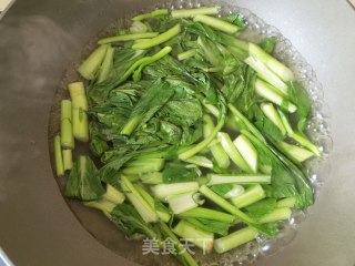 蒜蓉菜芯步骤3