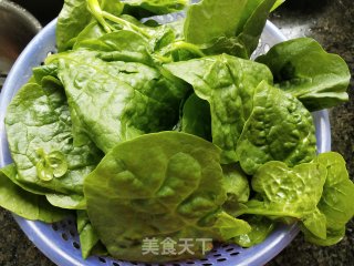 清炒木耳菜步骤1