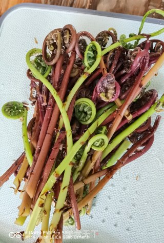 猴腿炒土豆丝步骤2