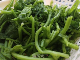 清炒南瓜苗步骤1