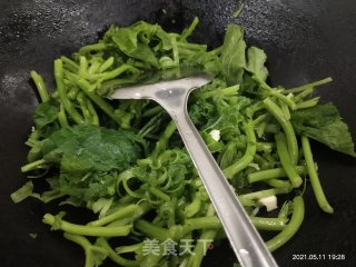 清炒南瓜苗步骤3