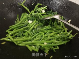 清炒南瓜苗步骤4