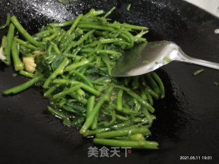 清炒南瓜苗步骤5