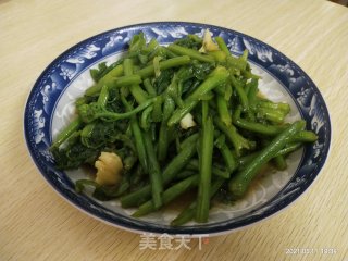 清炒南瓜苗步骤6